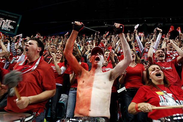 的深度解析 的深度解析